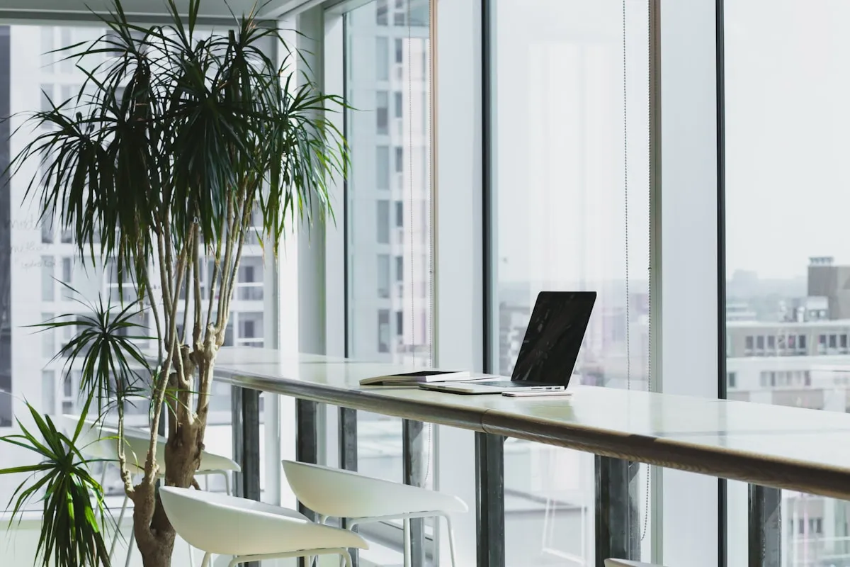 Espacio de trabajo minimalista con ordenador y plantas